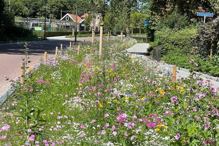 Borne Europastraat 1